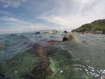 People swimming in sea against sky