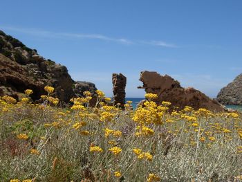 Scenic view of rocky landscape against sky