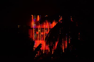 Firework display at night