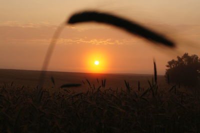 Scenic view of sunset over sea