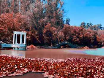 Trees by lake against sky during autumn