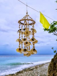 Close-up of plant hanging on beach