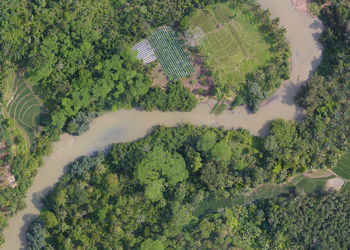 A river between rice fields and plantations