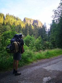 Rear view of man walking on road by trees