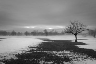 Bare trees on snow covered landscape against sky