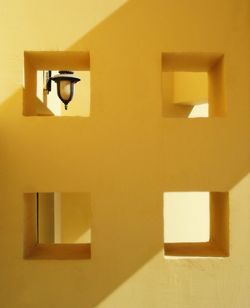 Close-up of yellow flowers