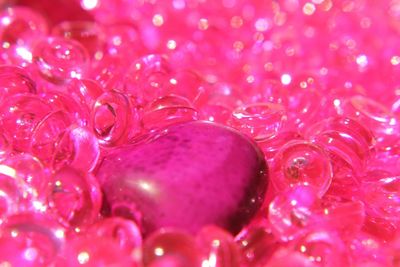 Close-up of pink flowers