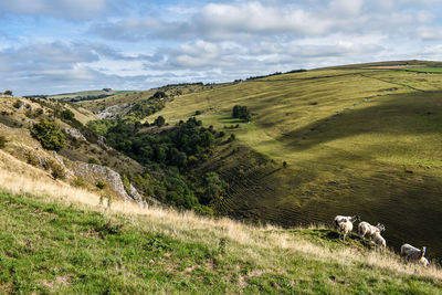 Scenic view of landscape against sky