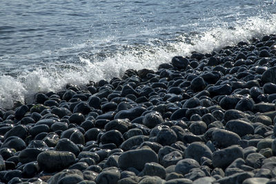 Scenic view of sea shore