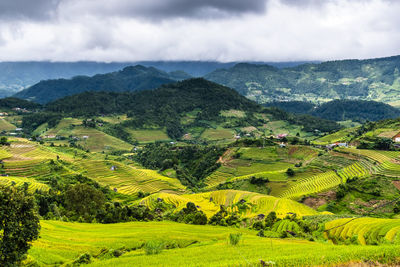 Scenic view of landscape against sky