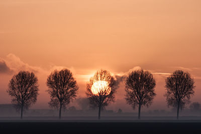 Silhouette trees against sky during sunset