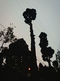 Silhouette of tree against sky