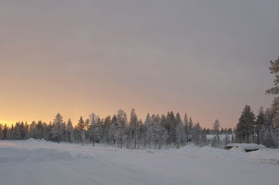 Trees on snow covered field against sky during sunset