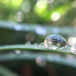 Close-up of bubbles in water