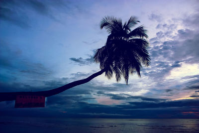 Silhouette palm tree by sea against sky at sunset