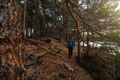 Woman standing on tree trunk in forest