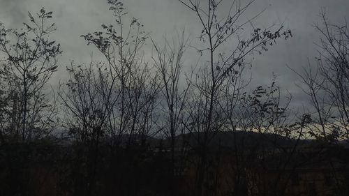 Silhouette bare trees against sky at dusk