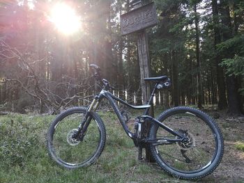 Bicycle parked by tree on field