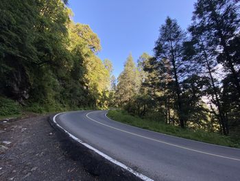 Empty road along trees and plants