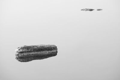 Close-up of over white background