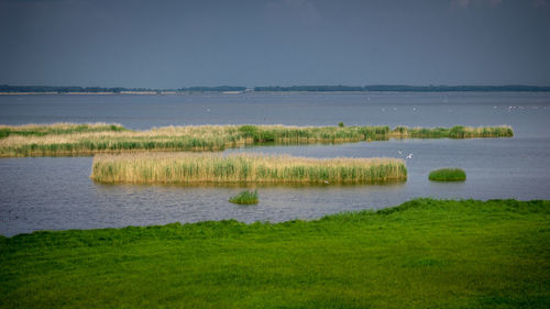 Scenic view of lake against sky