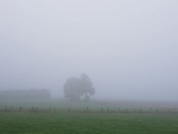 Trees on field against sky during foggy weather