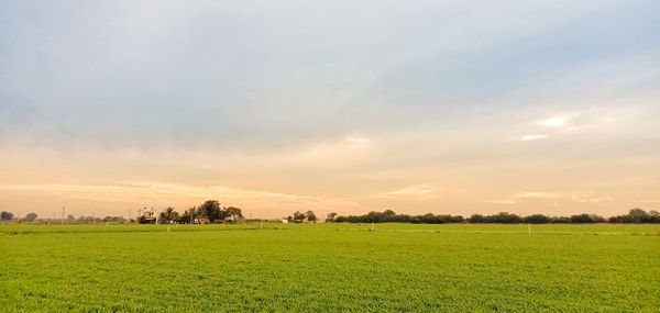 Scenic view of field against sky during sunset