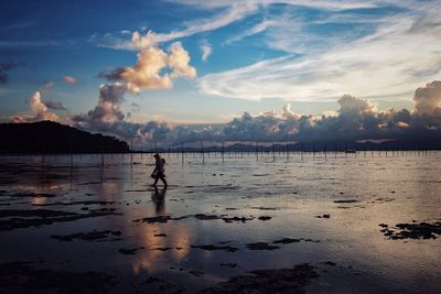 Silhouette person standing on beach against sky during sunset