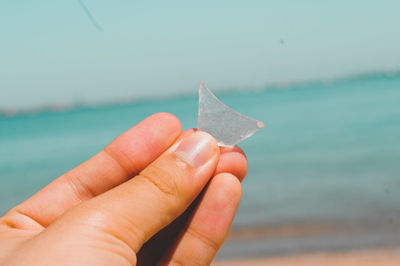 Close-up of hand holding object against sea