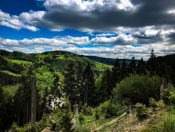 Scenic view of landscape against sky