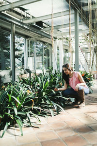 Close up of a beautiful agronomical engineer observing the plants in the greenhouse