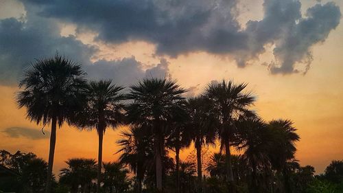 Low angle view of silhouette palm trees against sky during sunset