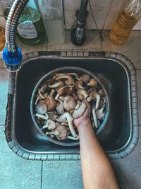 High angle view of hand holding drink