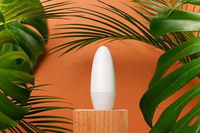 White deodorant or antiperspirant with green plants monstera and palm 