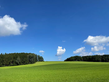 Scenic view of golf course against sky