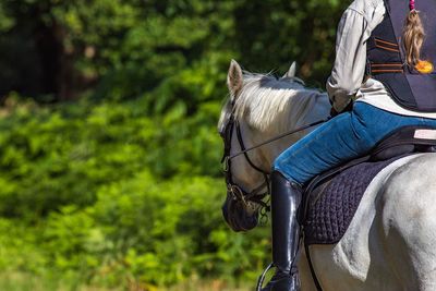 Side view of horse riding