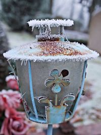 Close-up of christmas tree in snow