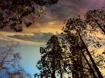 Low angle view of trees against cloudy sky