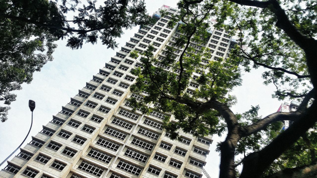 Building and trees