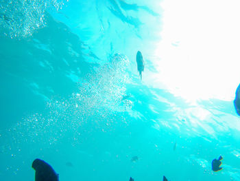 Low angle view of people swimming in sea