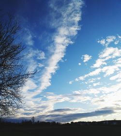 Low angle view of silhouette trees against blue sky