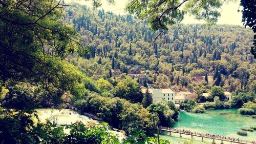 Scenic view of river