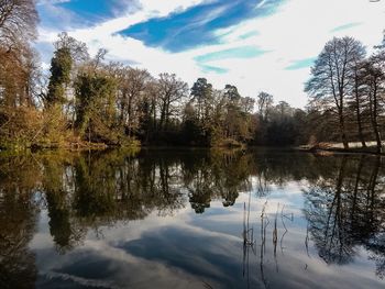 Reflection of trees in lake