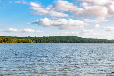 Beautiful landscape day view at canadian ontario beech lake in muskoka area. canadian forest nature 