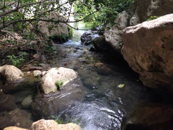 River flowing through rocks in forest