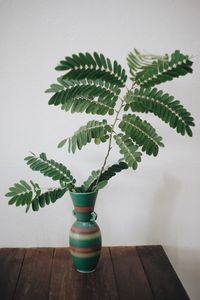 Close-up of potted plant on table against wall