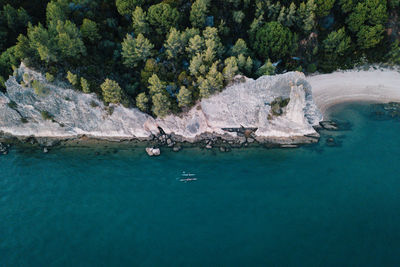 Scenic view of sea against trees