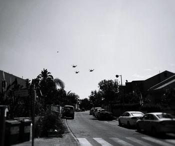 Birds flying over city against clear sky