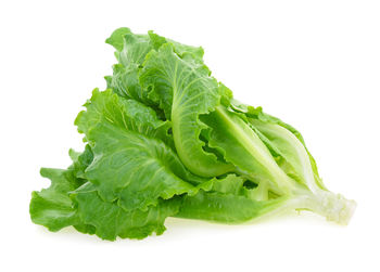 Close-up of green leaf against white background