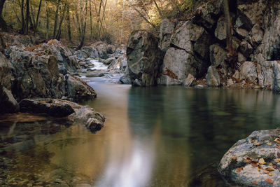 Torrent in the woods in autumn, piedmont - italy